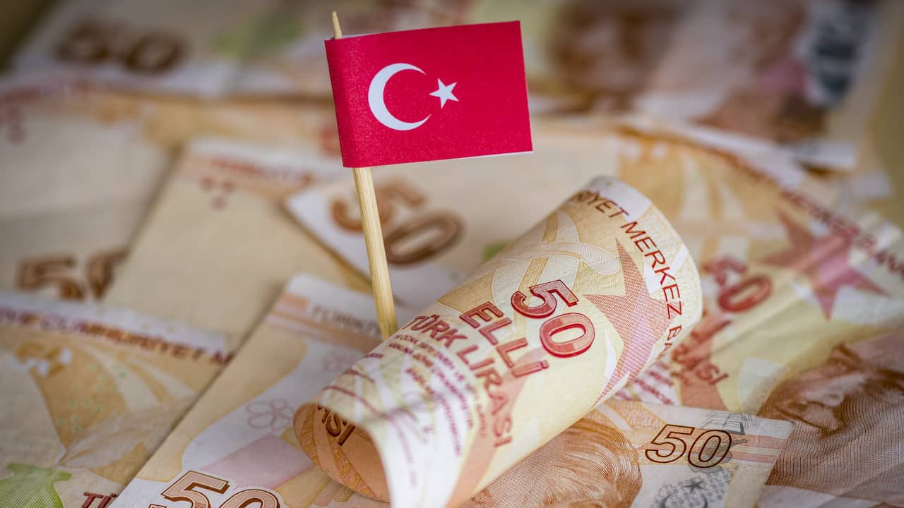 Турция становится воротами для голландского экспорта после российских санкций |  экономика