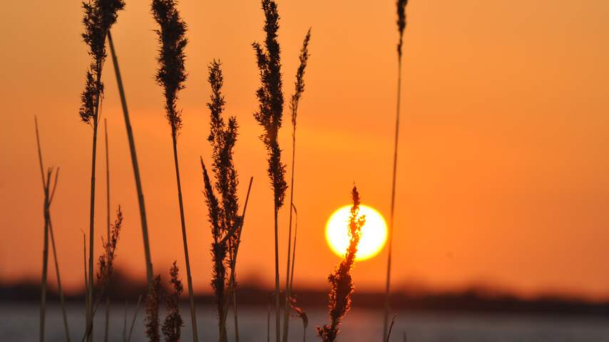Weerbericht: Temperaturen tot 33 graden, mogelijk onweer in het zuiden