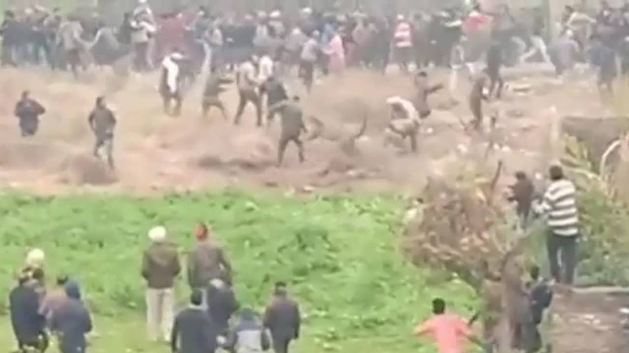 Beeld uit video: Angstige luipaard valt inwoners Indiase stad aan