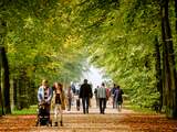 'Tien minuten flink wandelen levert meer op dan tienduizend stappen per dag'