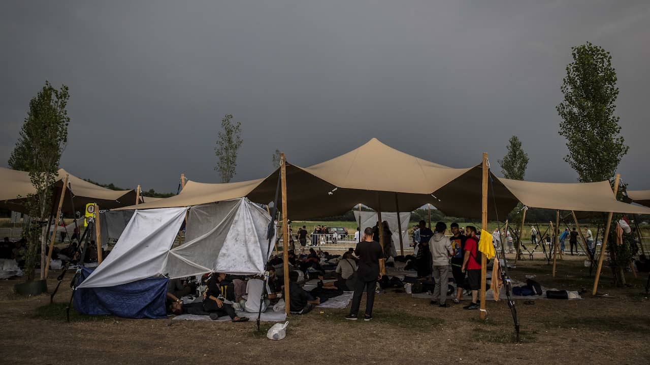 Asielzoekers wachten op een grasveld voor het COA in Ter Apel.