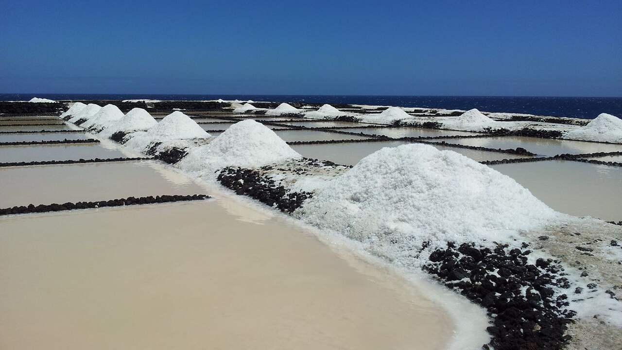 Zout proef je het verschil tussen keukenzout en fleur de sel? Eten
