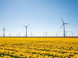 Recordgroei windenergie in 2021, maar bouw windmolens op land vlakt nu weer af