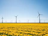 Recordgroei windenergie in 2021, maar bouw windmolens op land vlakt nu weer af