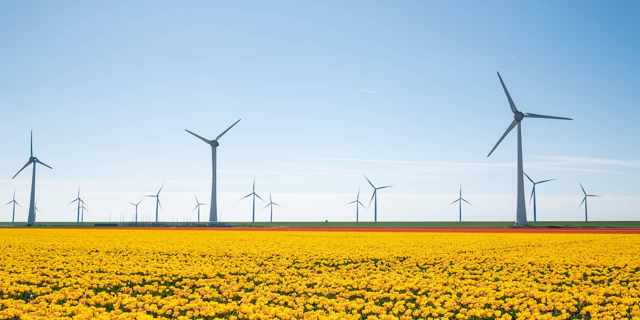 Recordgroei windenergie in 2021, maar bouw windmolens op land vlakt nu weer af