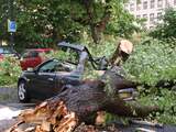 In Rotterdam kwam een vrouw om het leven doordat er een boom op de auto viel.