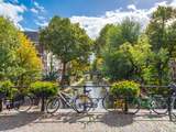 Inheemse bomen en struiken maken stad tot paradijs voor vlinders en bijen