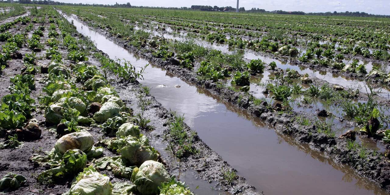 'Waterschade boeren kan oplopen tot een miljard euro'