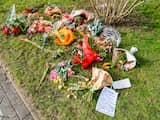Verspreider complottheorieën over rituele kindermoord Bodegraven opgepakt