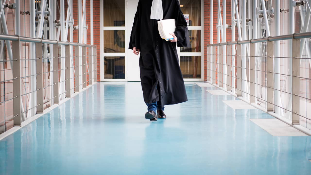 Wat is het verschil tussen een advocaat en een jurist? Binnenland NU.nl