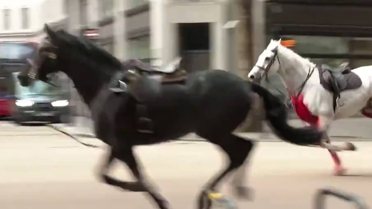Beeld uit video: Op hol geslagen koninklijke paarden rennen door Londen