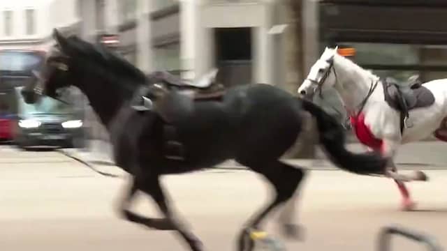 Op hol geslagen koninklijke paarden rennen door Londen