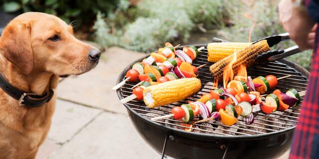 Een hond zit bij de barbecue