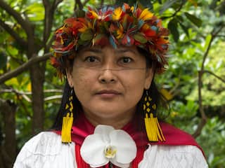 Leven in de Amazone niet alleen in gevaar door bosbranden