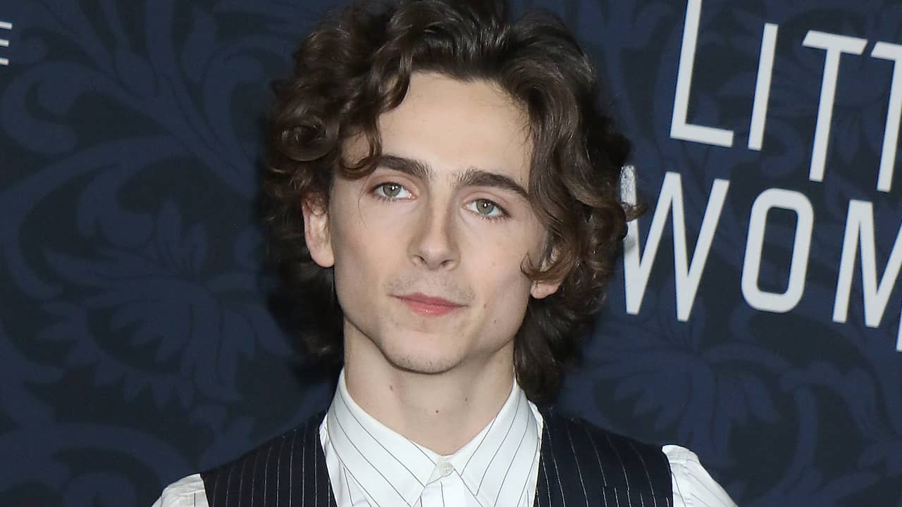 Timothée Chalamet speelt jonge Bob Dylan in biografische film | Films &  Series | NU.nl