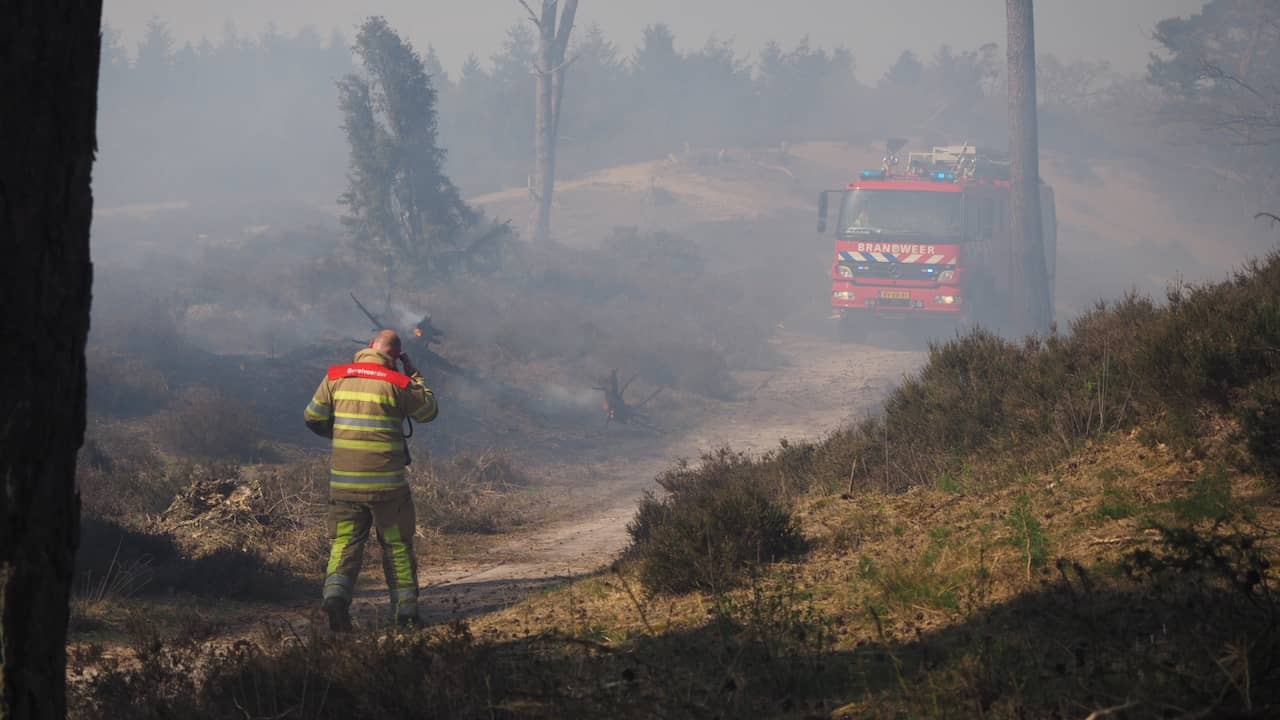 Purmerbos Wildfire in Purmerend Finally Contained by Firefighters