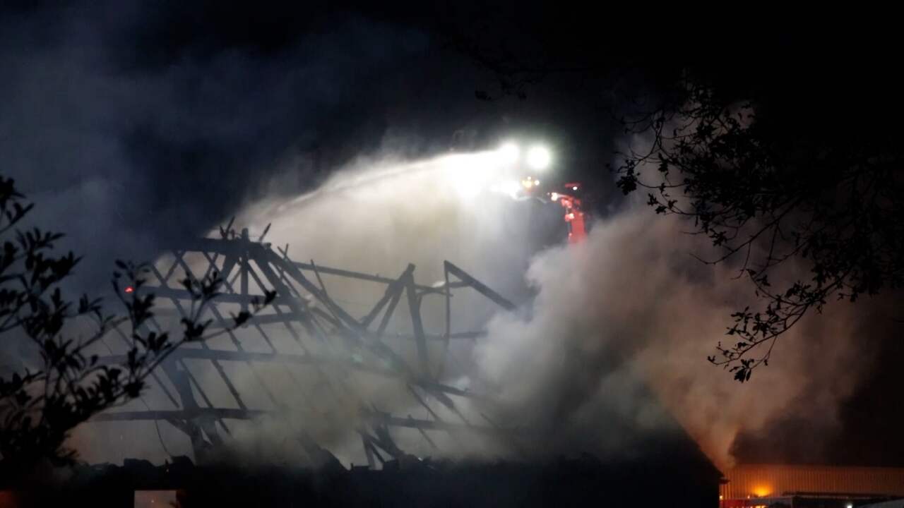 Beeld uit video: Brand legt schuur in de as, tientallen lammeren omgekomen