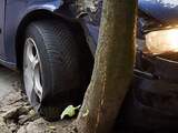 Auto botst op boom in Zwolle, bestuurder naar het ziekenhuis