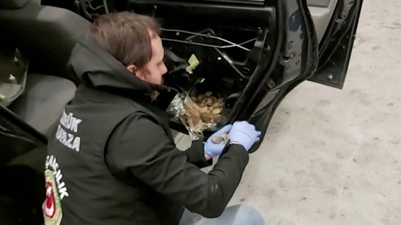 Turkse douane vindt ruim 5.000 schildpadden in autodeur