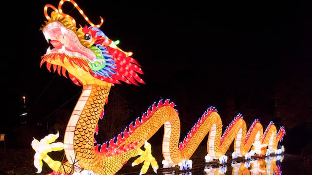 China Lights Festival Rhenen Nu Het Laatste Nieuws Het Eerst