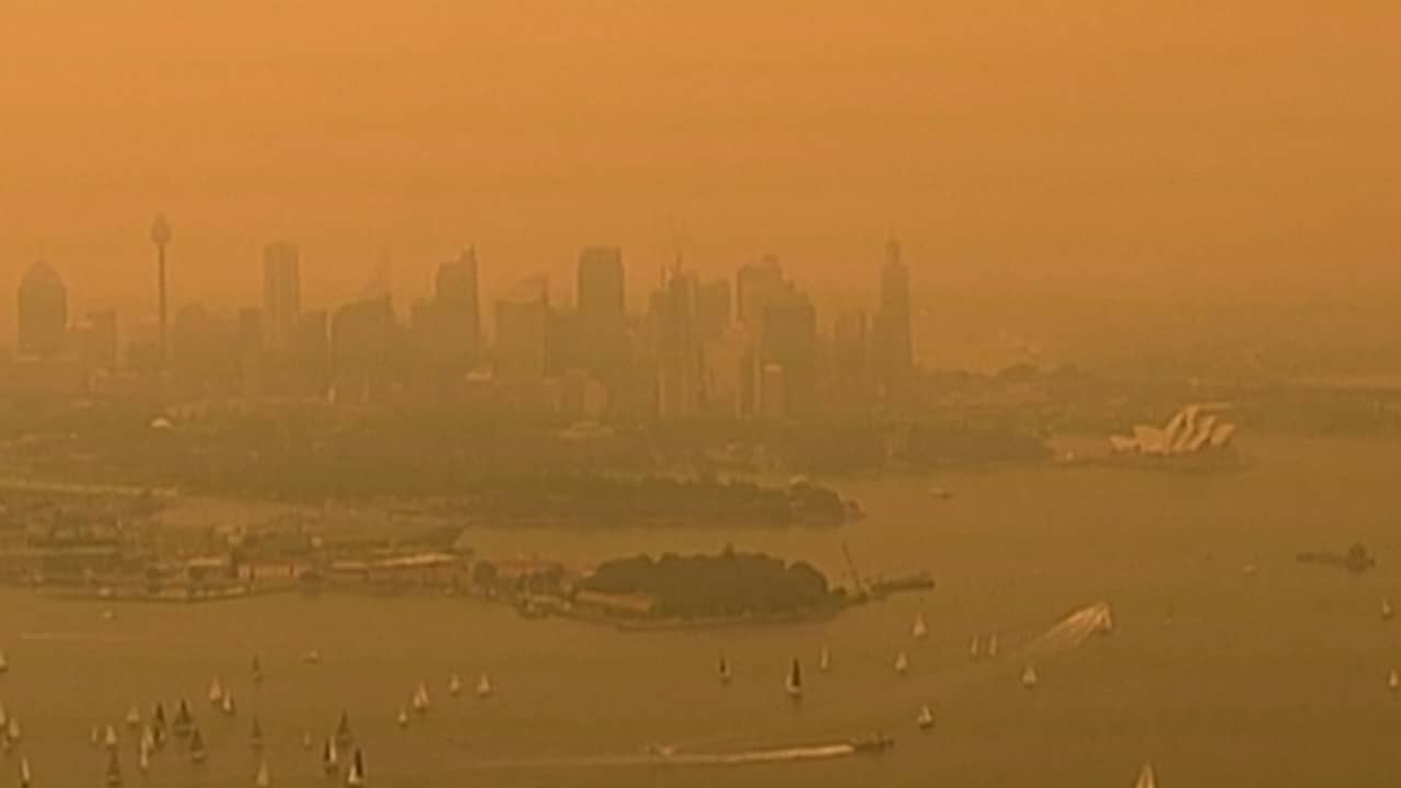 Large Fire Close To Sydney May Also Burn For Weeks As People War