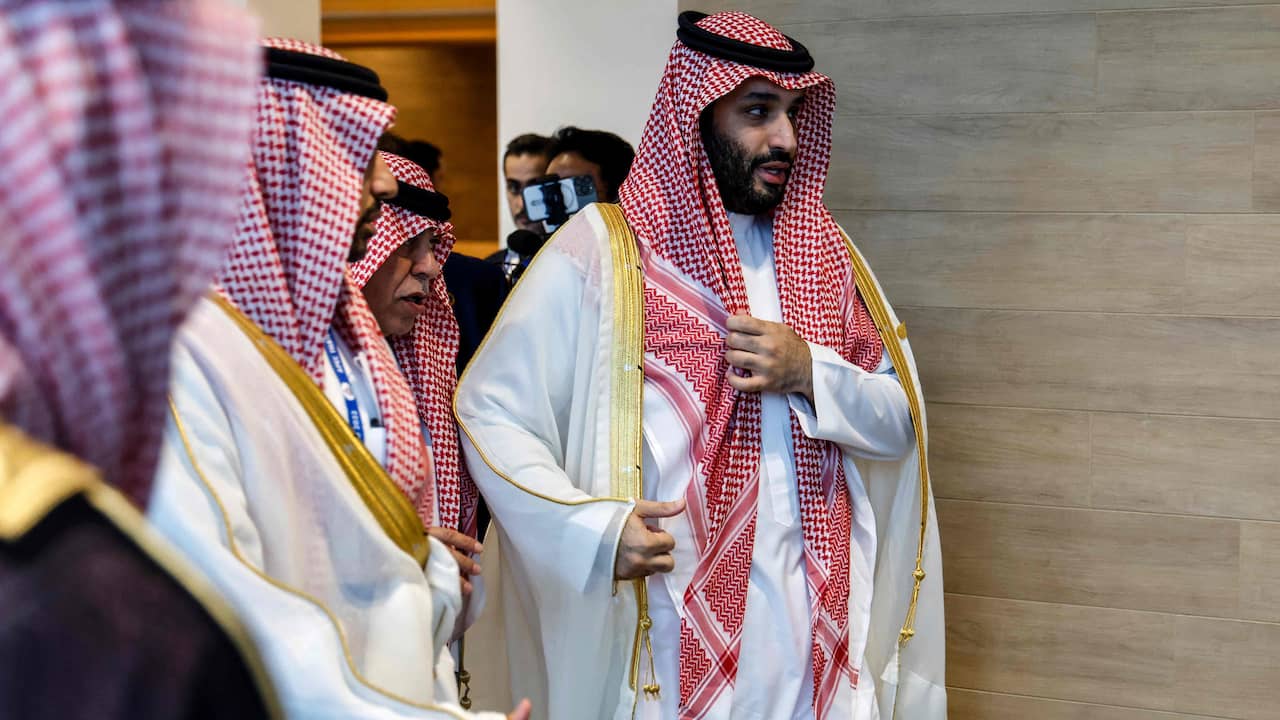 Saudi Crown Prince Gets Immunity From US In Khashoggi Case |  Abroad