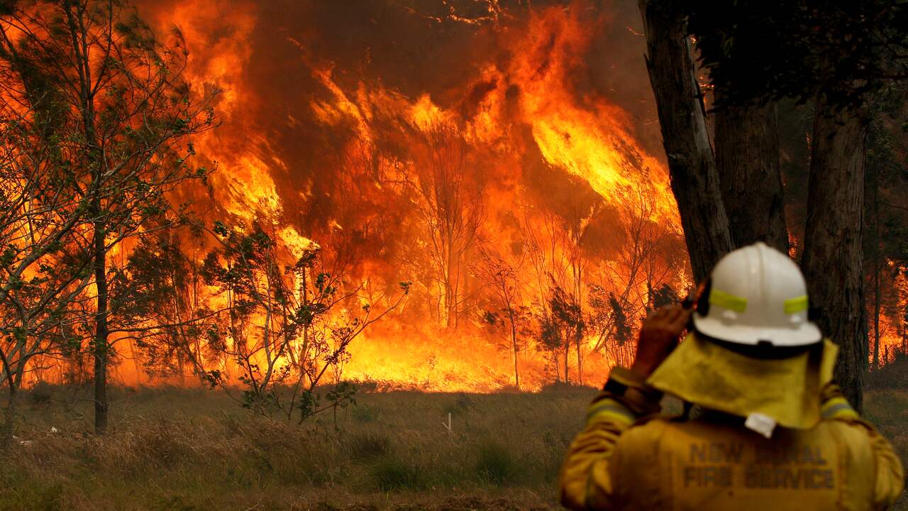 Australian fire prepares for aggravation of heavy forest - Report