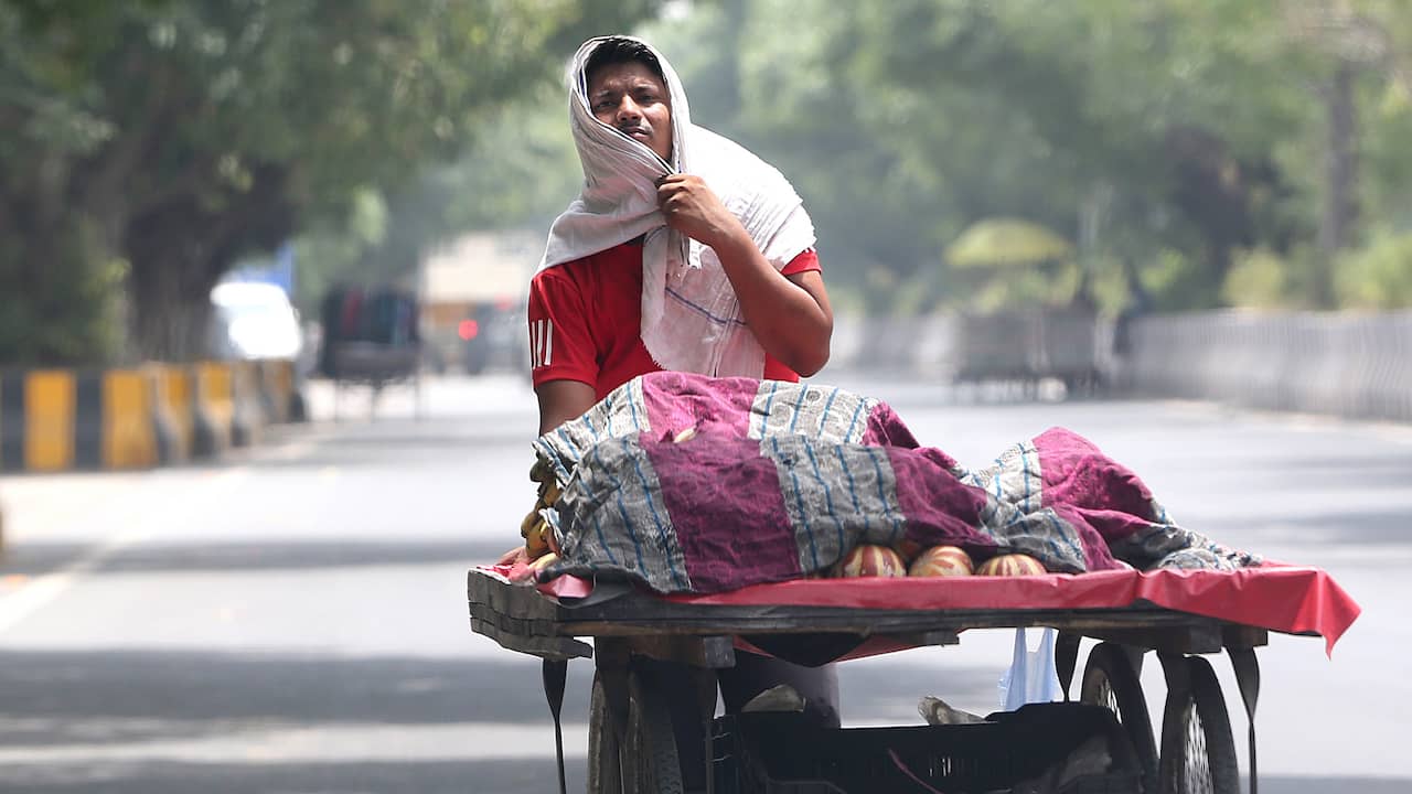 Gran parte dell’Asia soffre di un’ondata di caldo estremo, almeno 13 morti in India |  All’estero