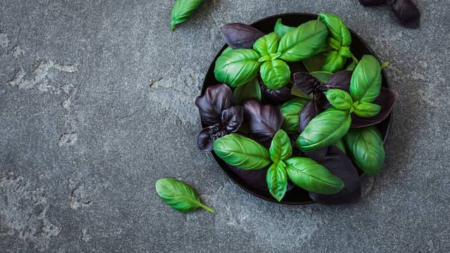 Een basilicumplant op je aanrecht helpt goed tegen het weren van vliegen. (Foto: 123RF)