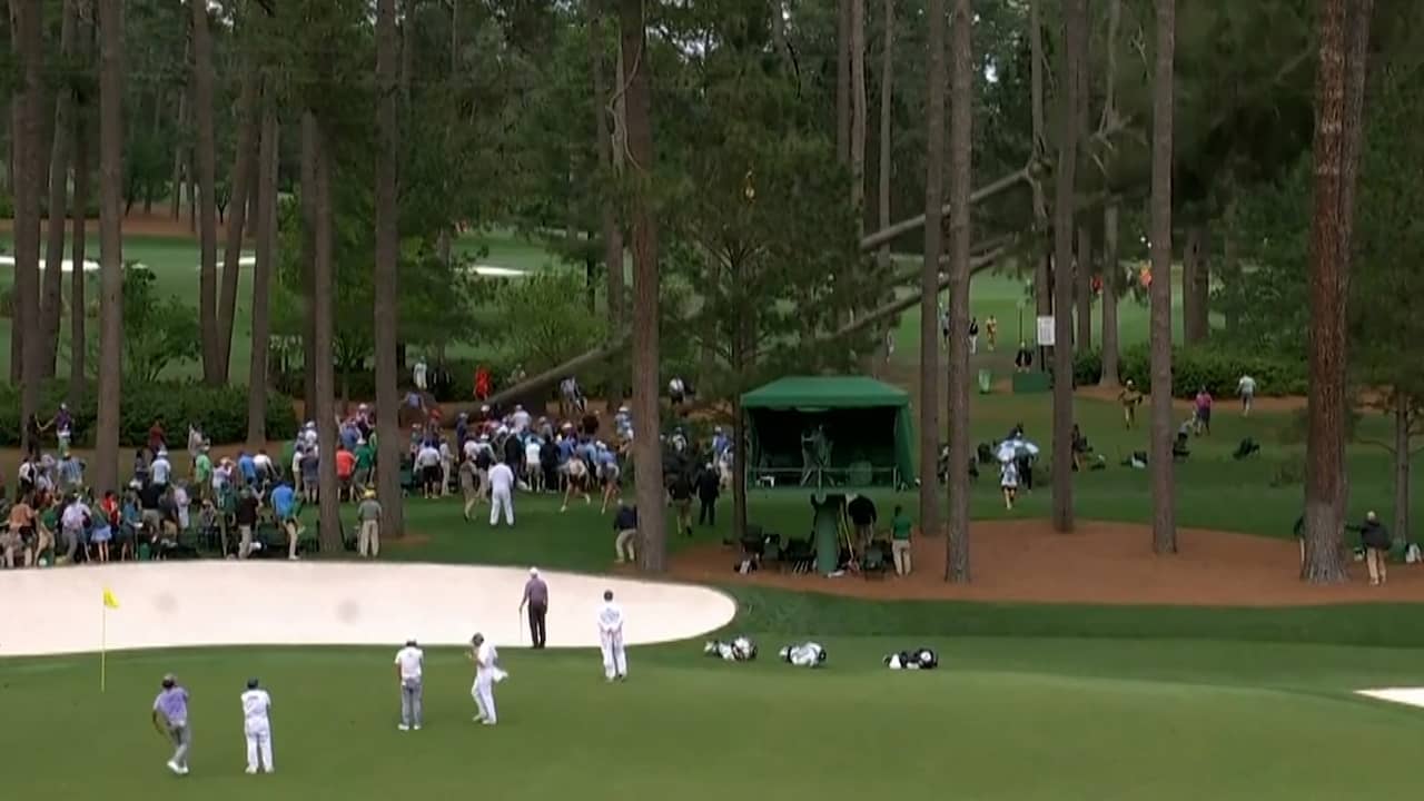 Beeld uit video: Golfpubliek vlucht voor vallende dennenbomen bij The Masters