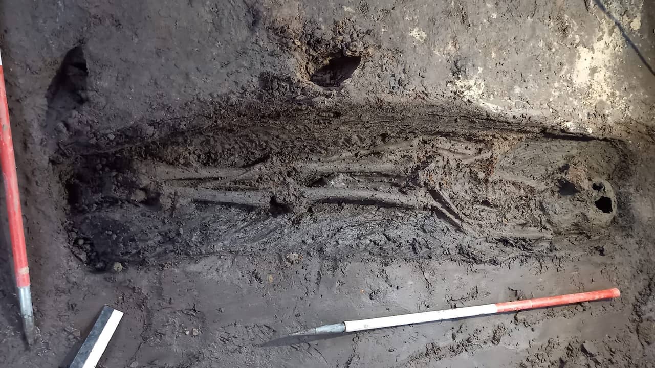 Rare Skeletons Unearthed During Excavations on Grote Markt in Groningen