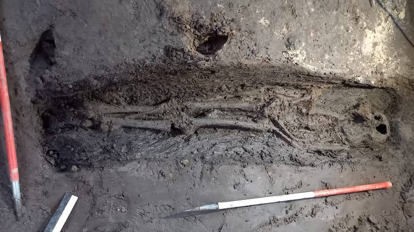 Zeldzame vondst in Groningen: twee skeletten uit de vroege middeleeuwen Zeldzame-vondst-in-groningen-twee-skeletten-uit-de-vroege-middeleeuwen