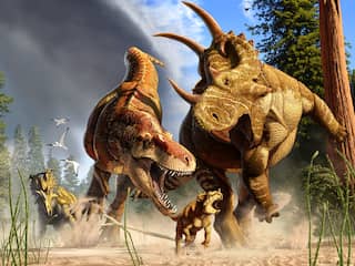 Tyrannosaurus Rex was een duurloper, geen sprinter