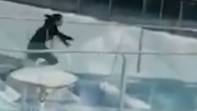 Chinese vrouw valt tijdens voedertijd in aquarium vol haaien