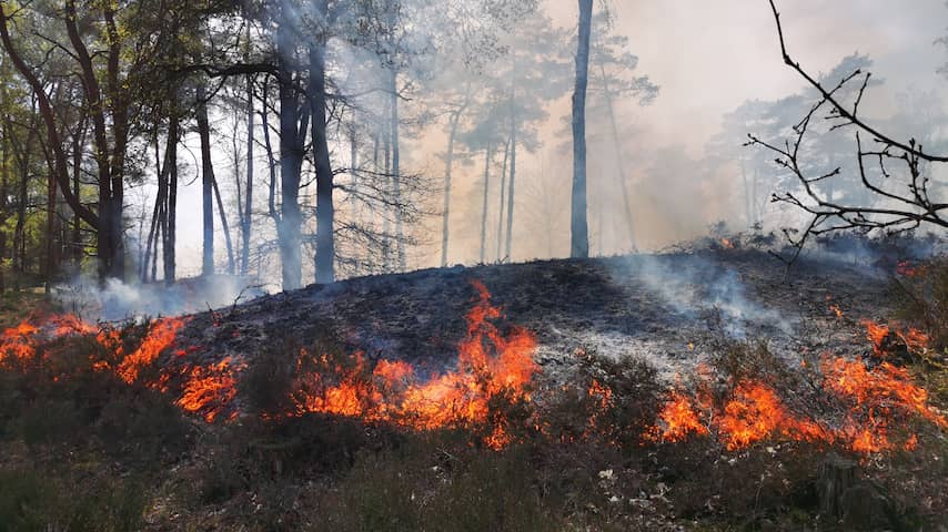 Grote natuurbrand in Soester Duinen na uren onder controle
