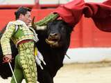 Hoe de matador langzaam uit Spanje wordt verdreven