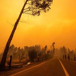 Zeker 22 doden en honderden gewonden door bosbranden in Chili