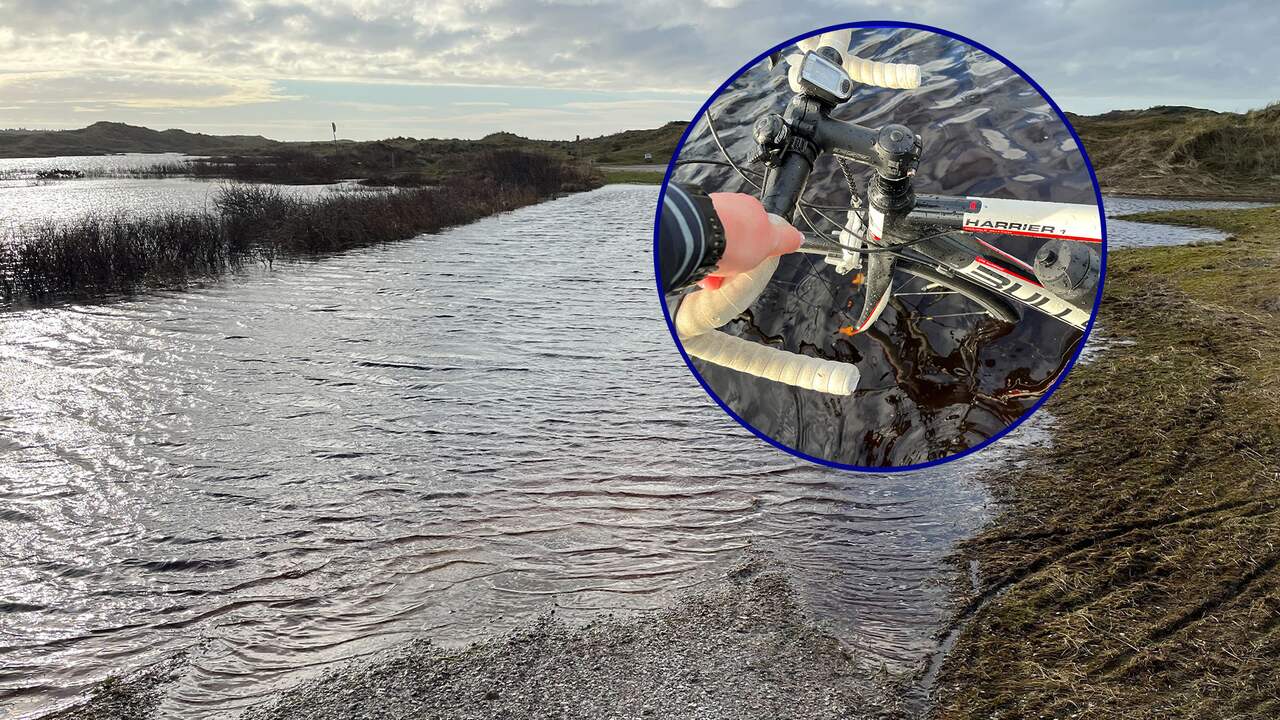 Record High Groundwater Levels and Rainfall Cause Flooding in Netherlands, But Nature Thrives: Expert