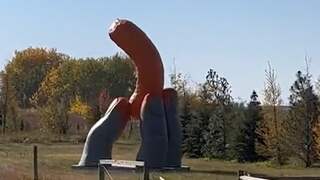 Canadese plaats Cheadle krijgt enorm Cheetos-standbeeld