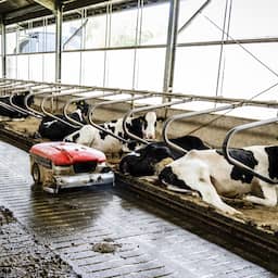 Onzekere uitstoot methaan en lachgas: '1,5 gradendoel mogelijk al onhaalbaar'