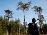 Rijk en provincies streven naar circa 185 miljoen nieuwe bomen in 2030