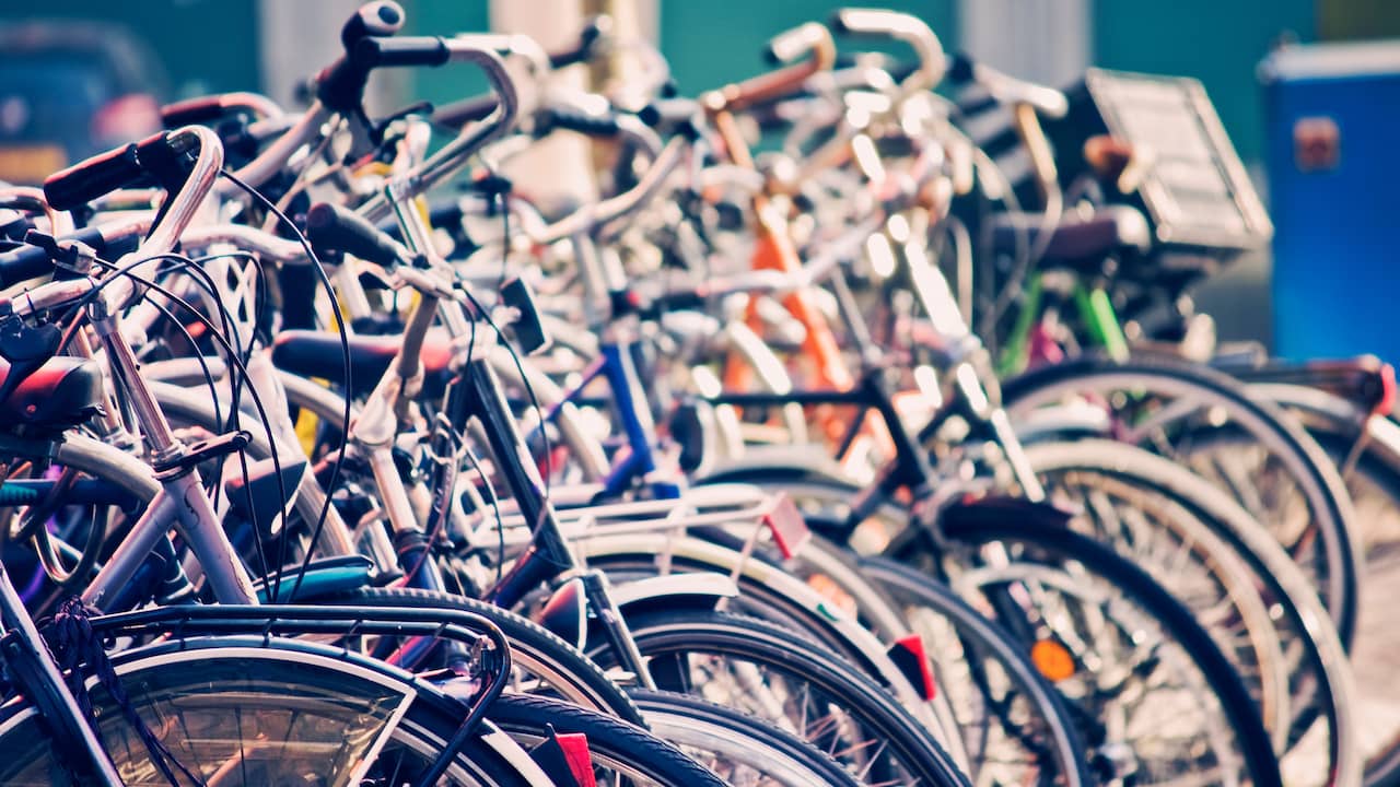 I ladri di biciclette scioperano più spesso: il numero di furti è quasi raddoppiato nel 2022 |  Economia