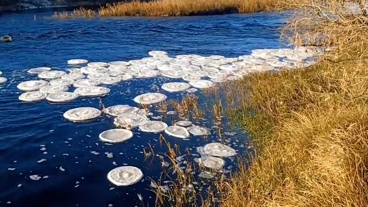 Beeld uit video: Bekijk de zeldzame 'ijspannenkoeken' op rivieren in het VK