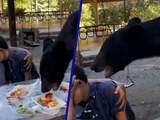 Mexicaans gezin houdt hoofd koel terwijl beer picknick verstoort