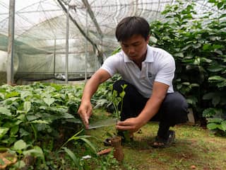 Zorgen over koffieprijzen door extreme droogte in Vietnam