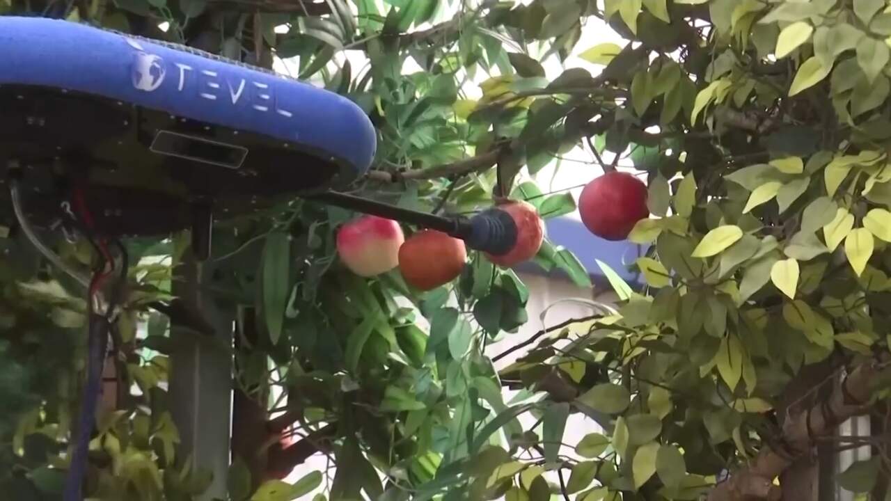 Beeld uit video: Deze Israëlische drones kunnen fruit oogsten