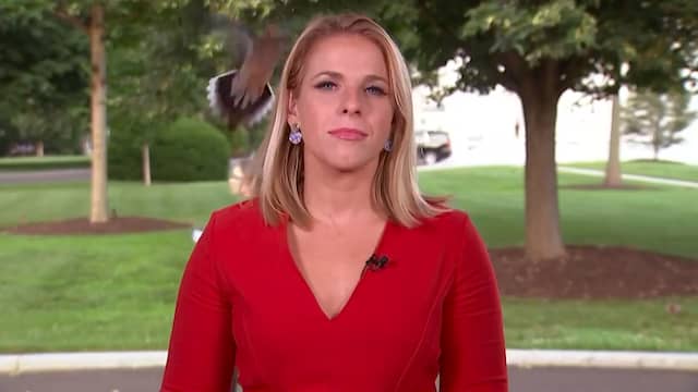 Vogel landt vlak voor uitzending op hoofd Amerikaanse verslaggever