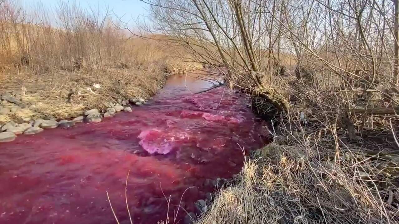 Canadese rivier kleurt rood door 400 liter gelekte inkt