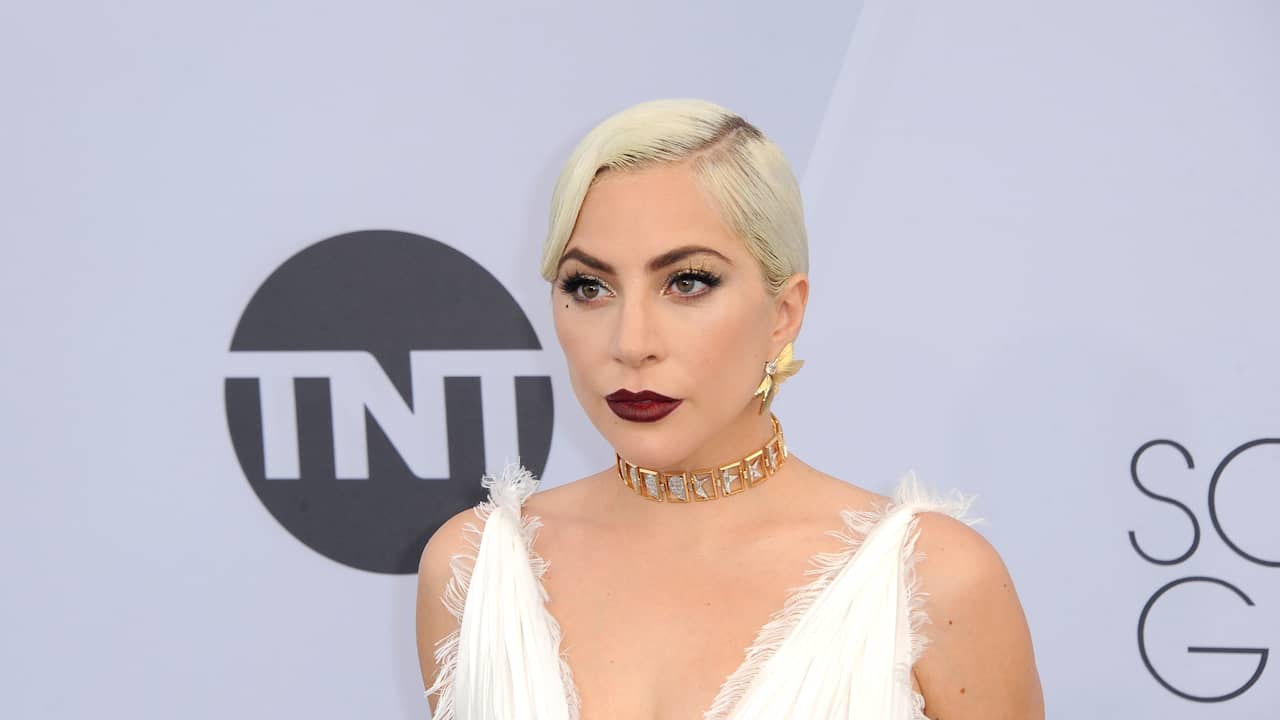 Lady Gaga’s dog sitter released from hospital after month |  NOW