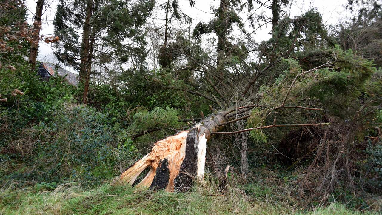 Livestream: Eerste zware storm van het jaar